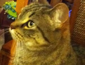 best tech news sites gmrrcomputer