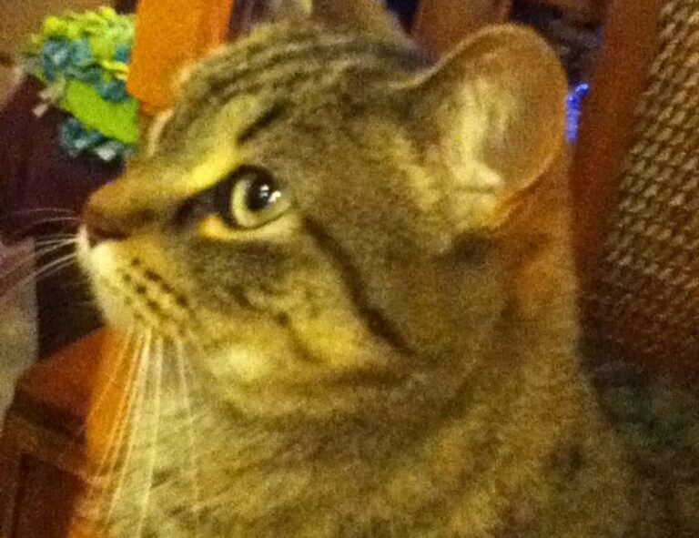 best tech news sites gmrrcomputer