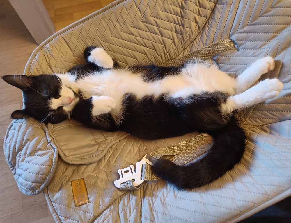 current trends in tech togtechify