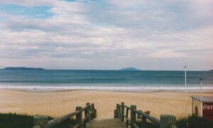 flpsymbolcity free symbols by freelogopng