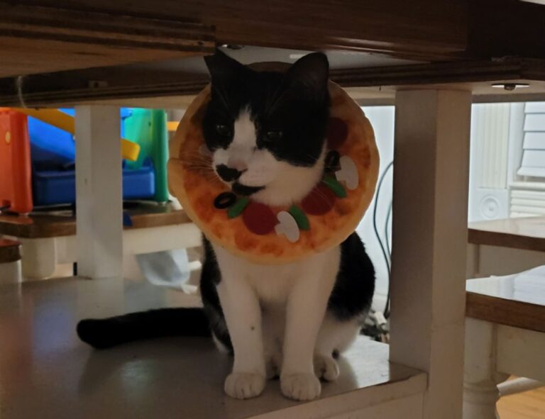 gamrawtek guides released