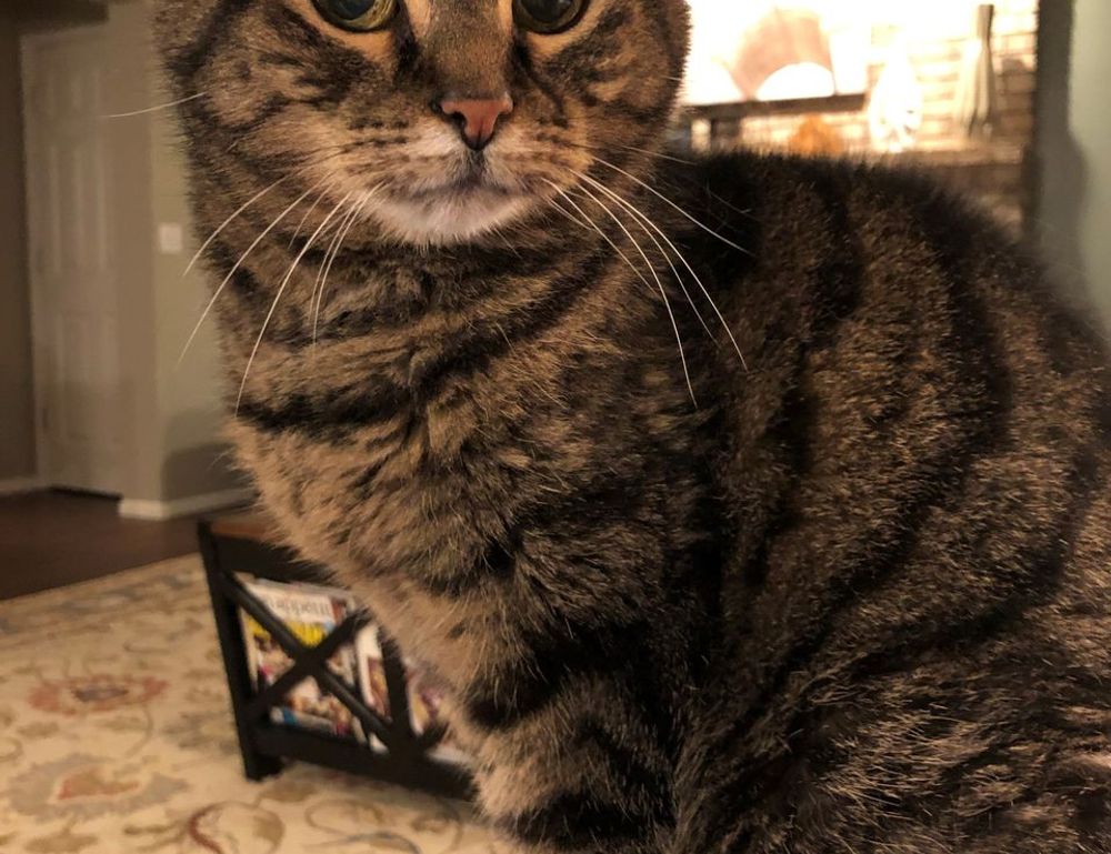 gmrrcomputer latest technology news from gamerawr