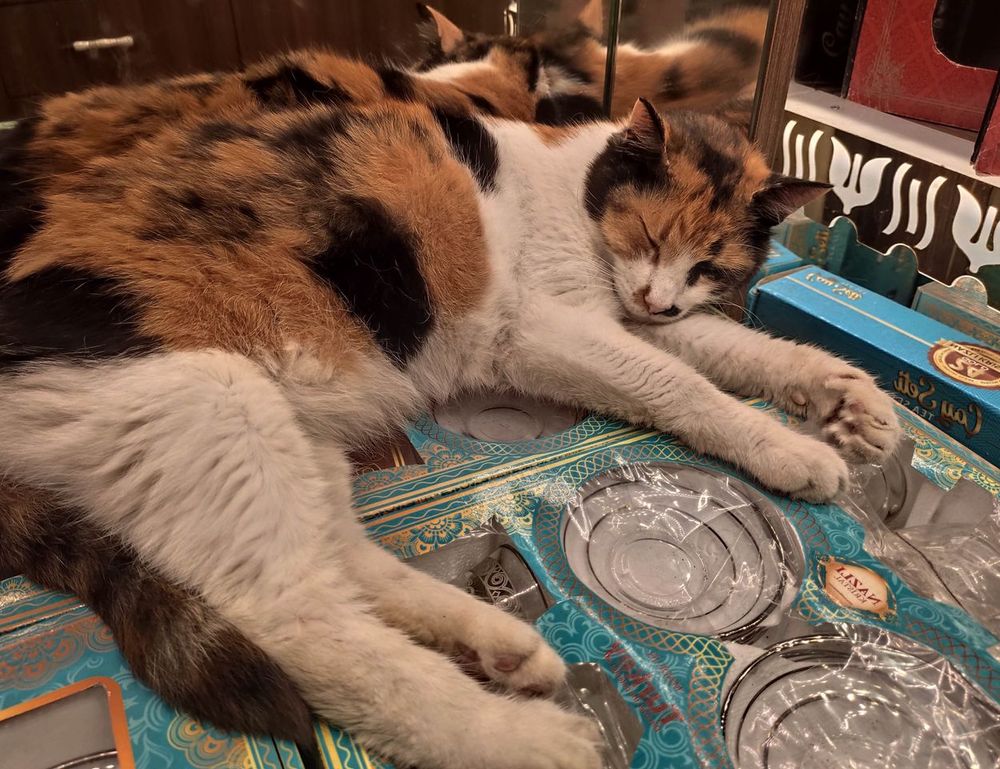 how to get daily tech news gmrrcomputer