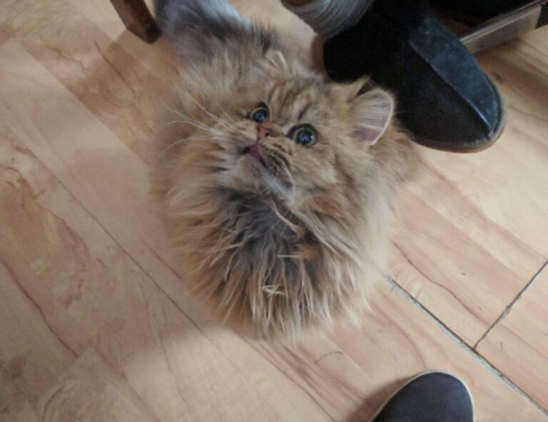 how to hide posts on instagram fntkech