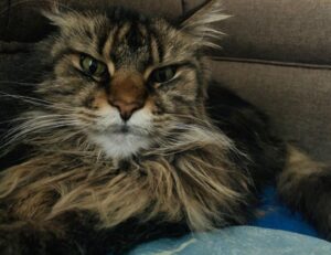 how to keep up with tech news gmrrcomputer