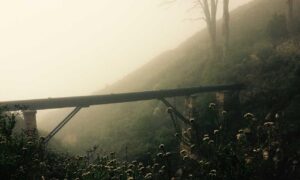 java software wbsoftwarement