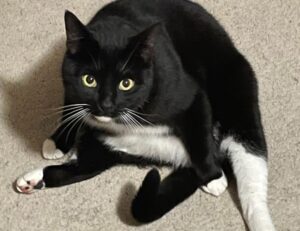 latest tech news gmrrcomputer