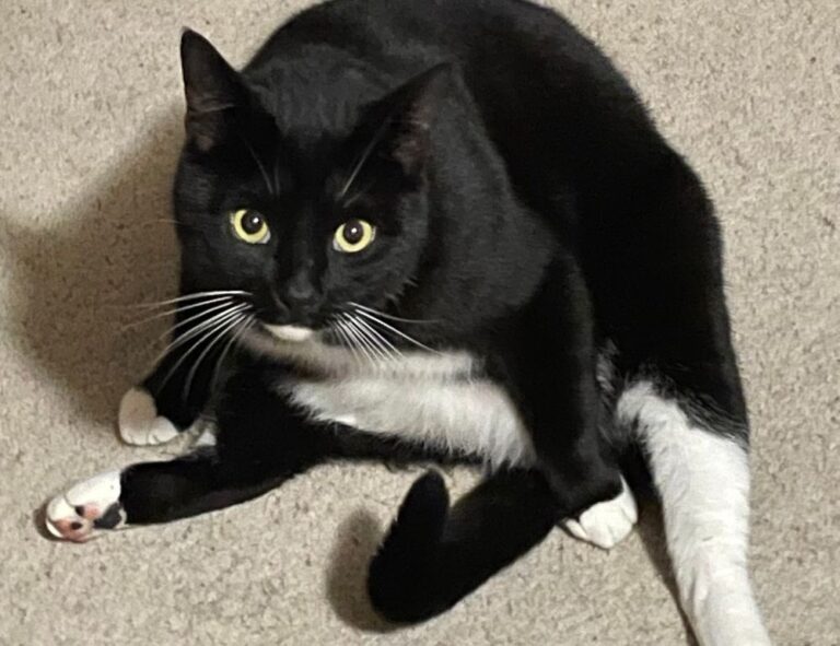 latest tech news gmrrcomputer