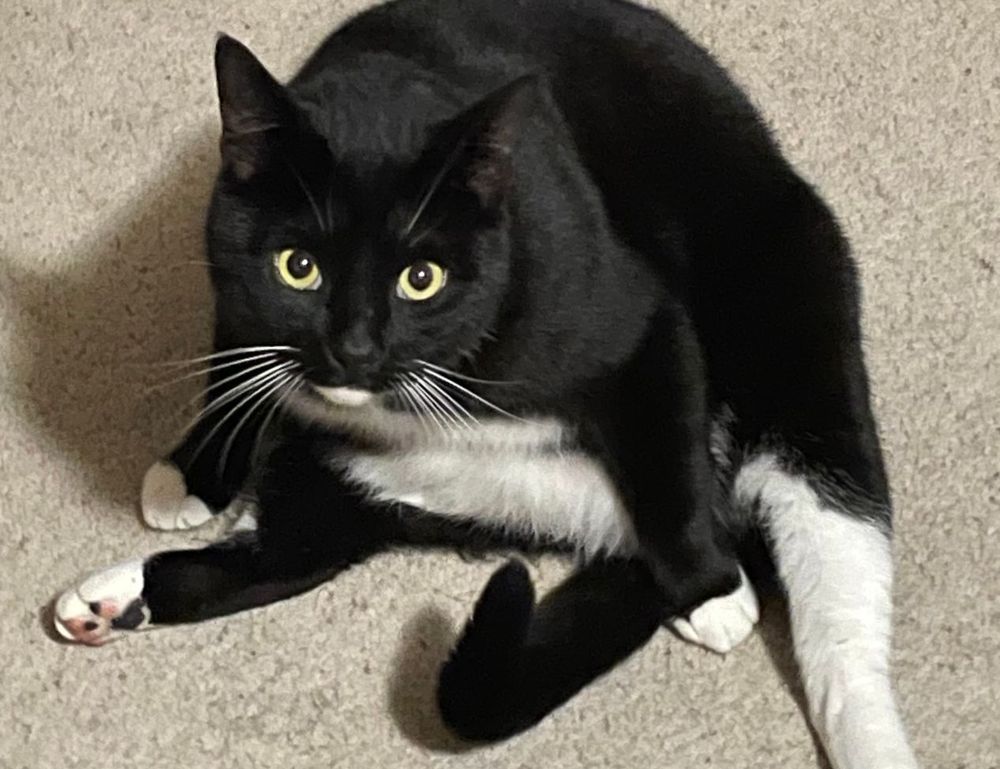 latest tech news gmrrcomputer