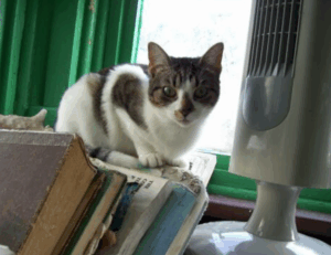 latest tech upgrades gamrawtek