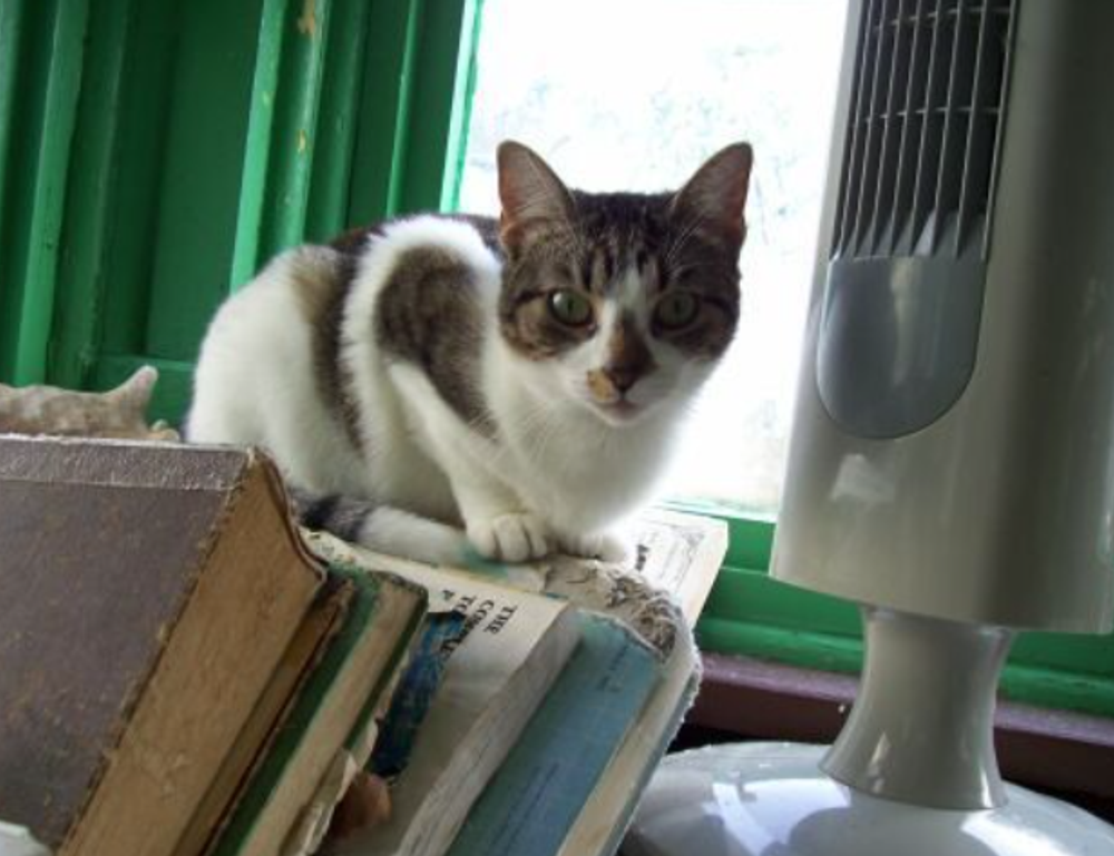 latest tech upgrades gamrawtek