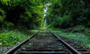 logo listings flpsymbolcity