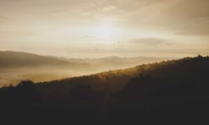 software news gfxpixelment