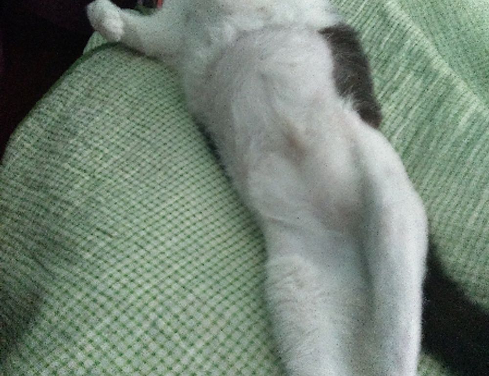 software susbluezilla