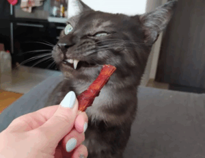 tech upgrades gamrawtek