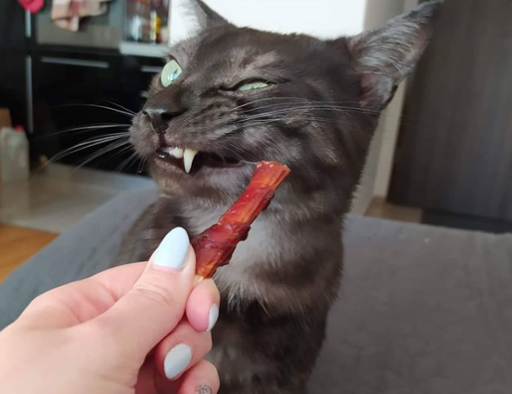 tech upgrades gamrawtek