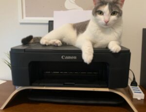 technology updates gamrawtek