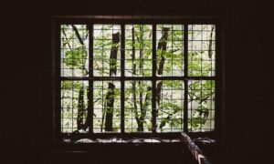 todays tech news scookietech