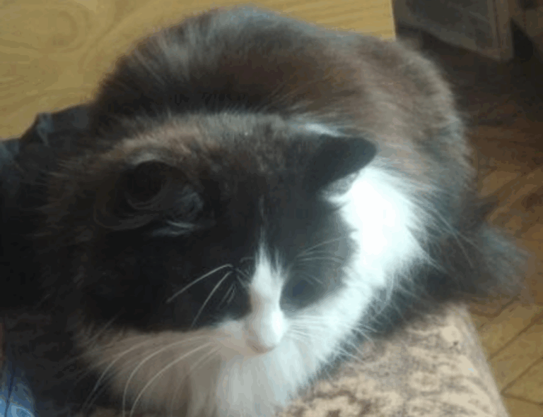 togtechify world tech news from thinksofgamers