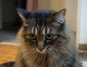 trending tech news gmrrcomputer