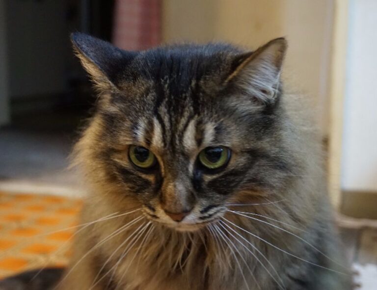 trending tech news gmrrcomputer