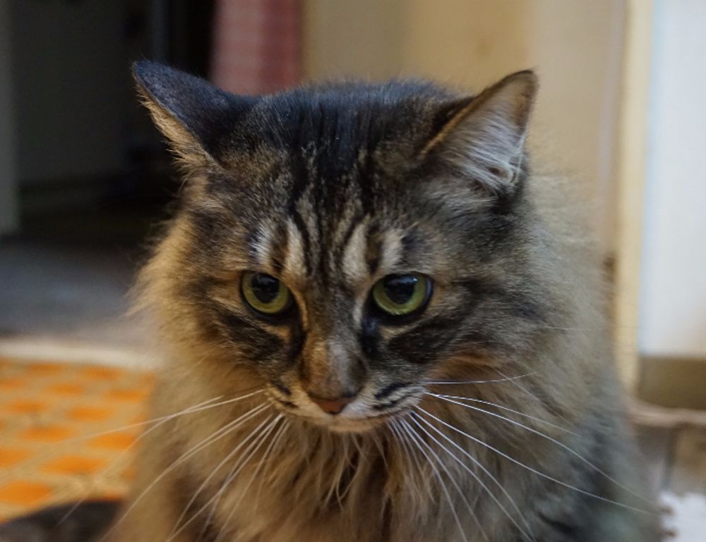 trending tech news gmrrcomputer