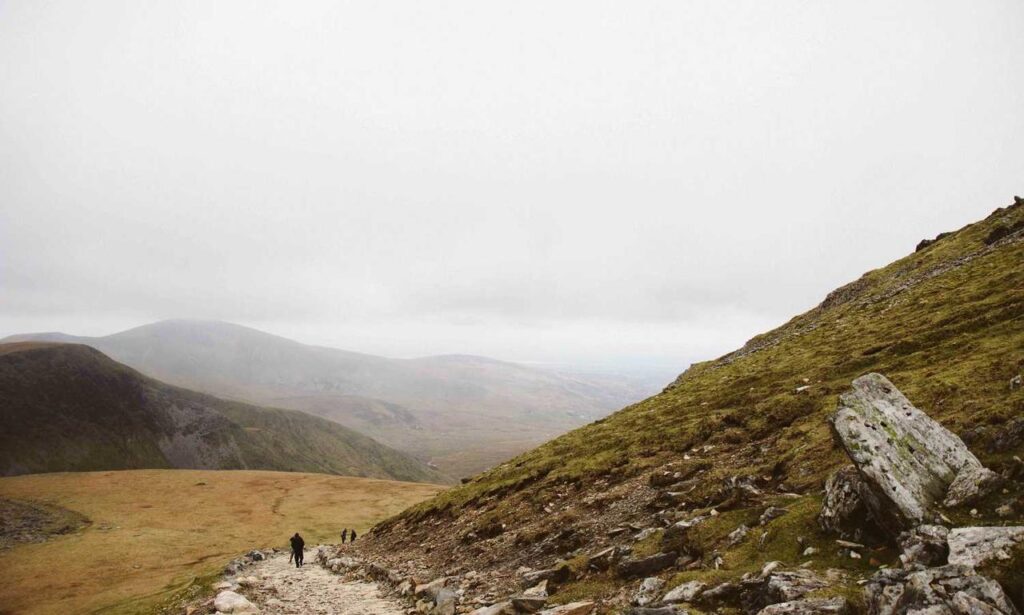 wbsoftwarement software advice from wealthybyte