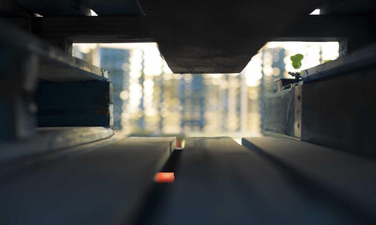 wbsoftwarement software guide by wealthybyte