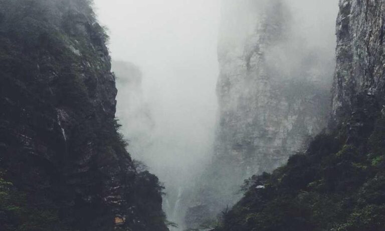 what a graphic designer can make gfxtek