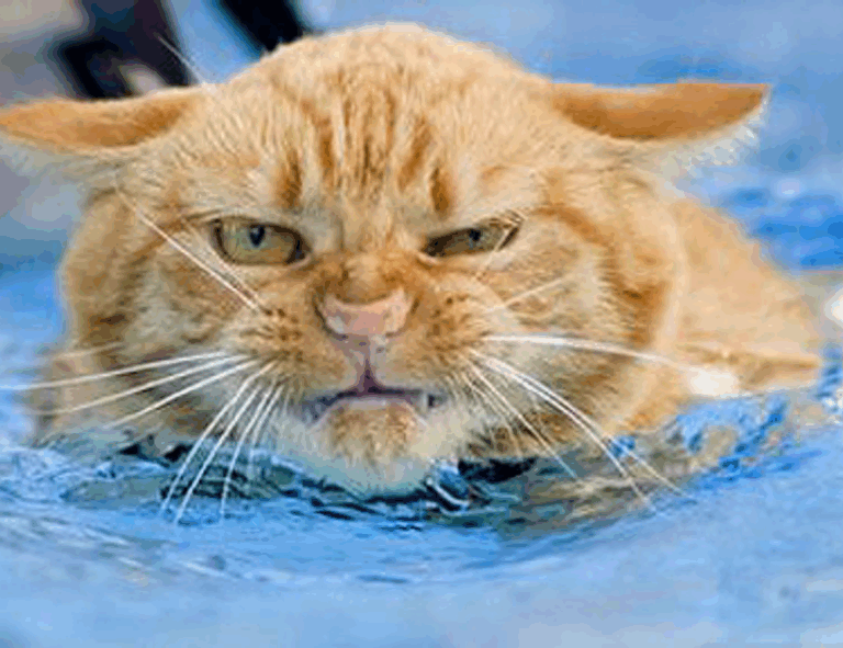 what are cybersecurity software wbsoftwarement