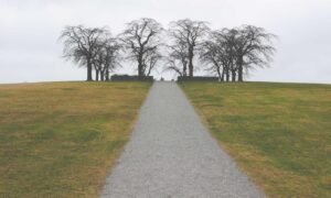 what format for logo design flpsymbolcity