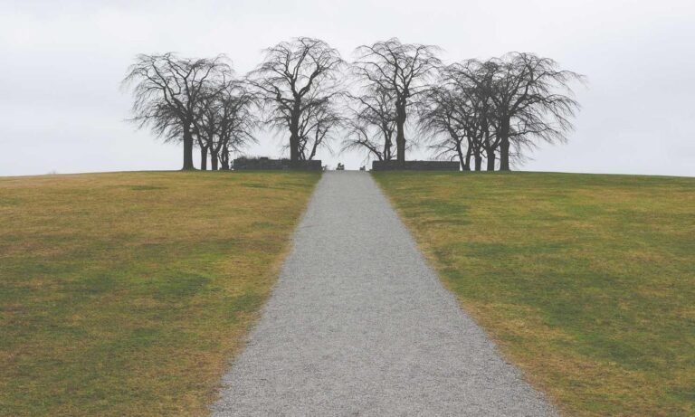 what format for logo design flpsymbolcity