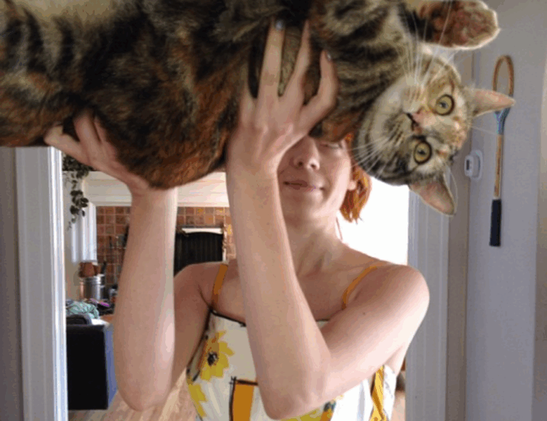 what is a good design software gfxpixelment