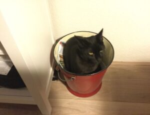 what new technology is coming scookietech