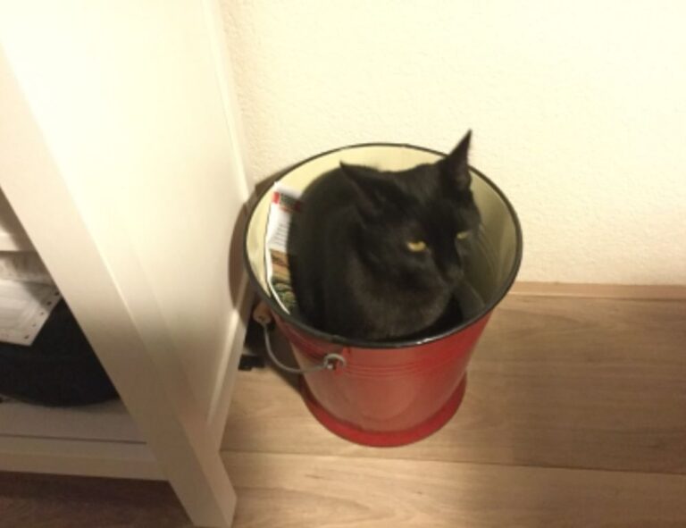 what new technology is coming scookietech