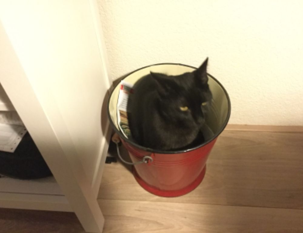 what new technology is coming scookietech