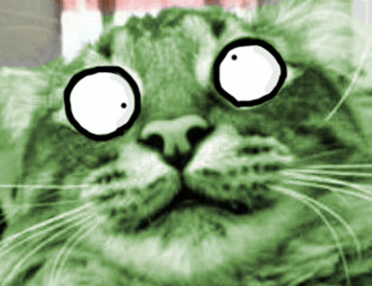 why is biszoxtall software free