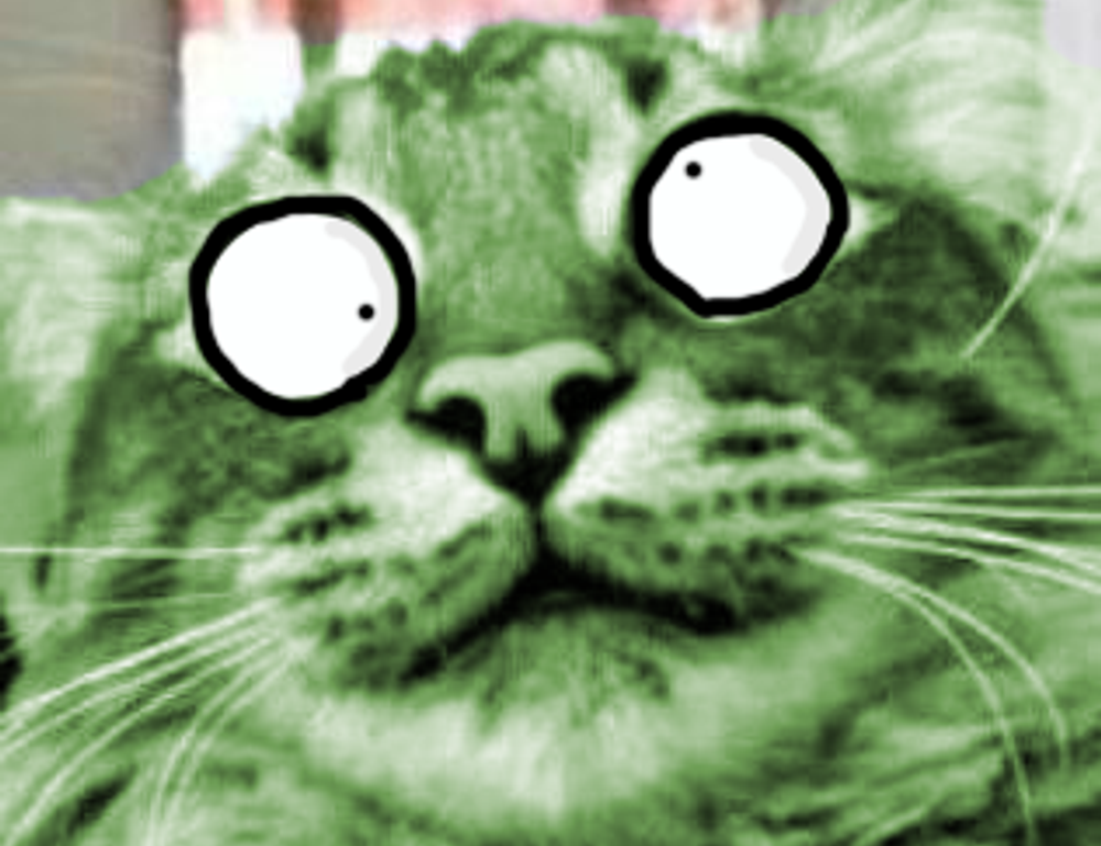 why is biszoxtall software free