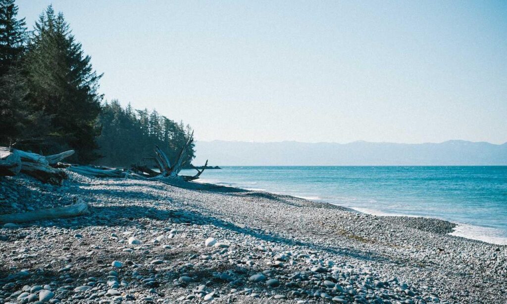 why is uhoebeans software update failing