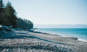 why is uhoebeans software update failing