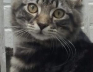 why use uhoebeans software in business