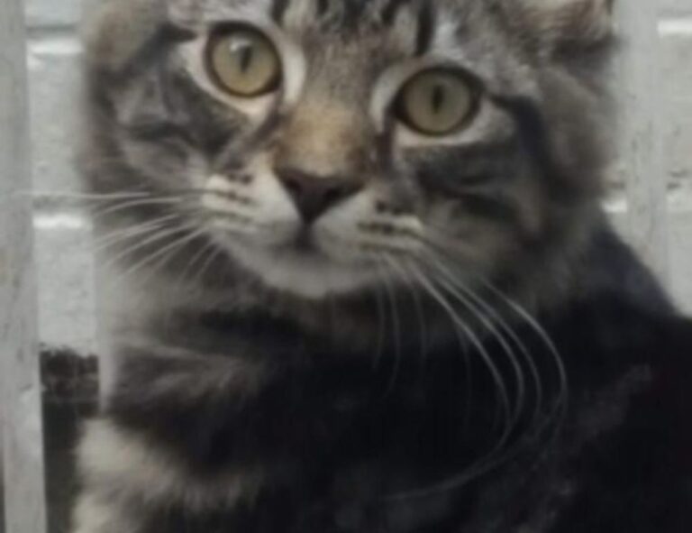 why use uhoebeans software in business