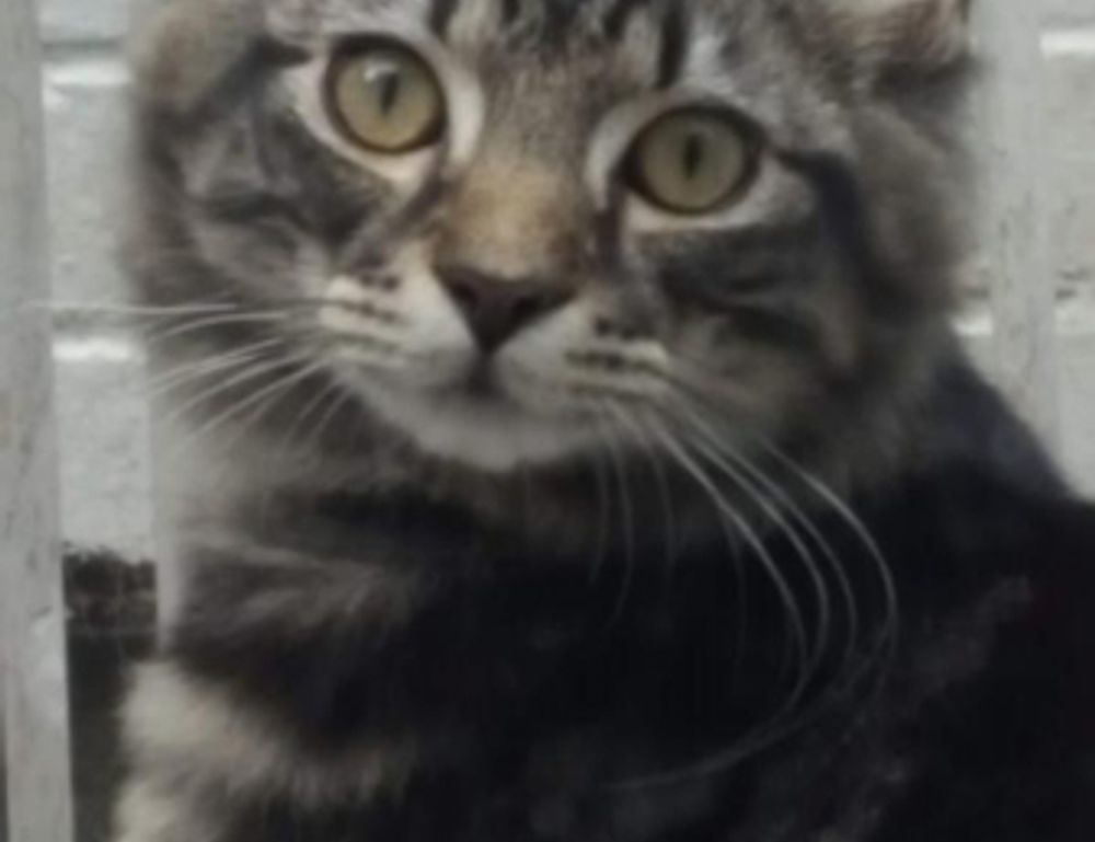 why use uhoebeans software in business