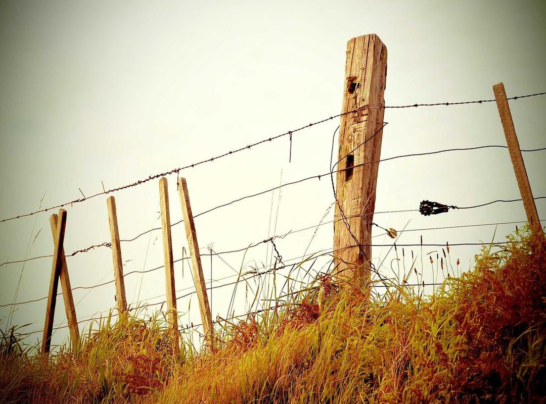 Step-by-Step Calculation: Turning 320 cm into Feet and Inches