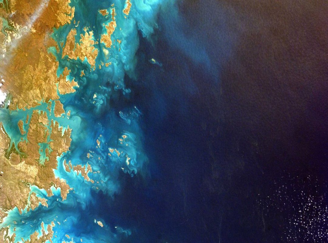 A Deep Dive into Dental Veneers: The Ultimate Smile Makeover