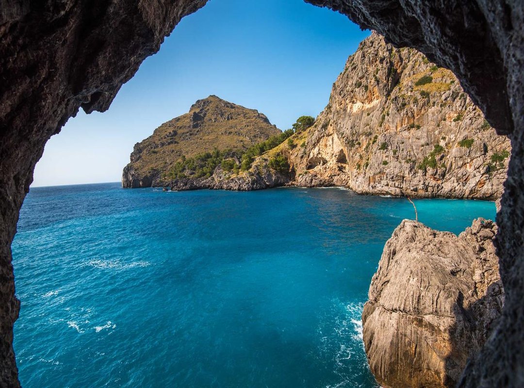 The Appeal: Why This Trend is Gaining Momentum