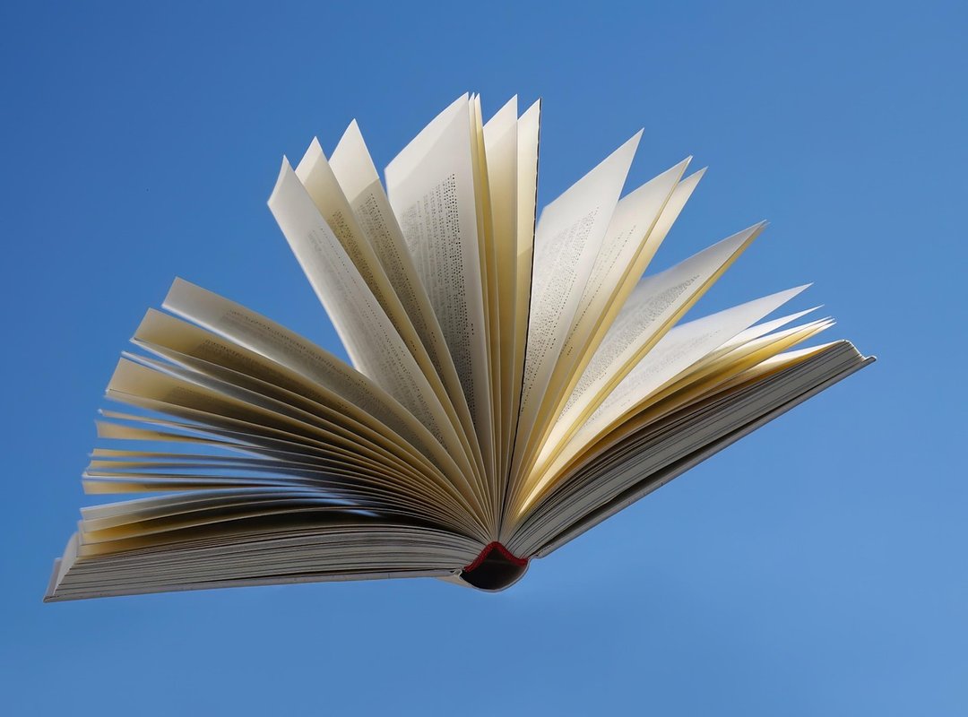 Where to Read the 'My Cold Ex-Husband' Novel Online