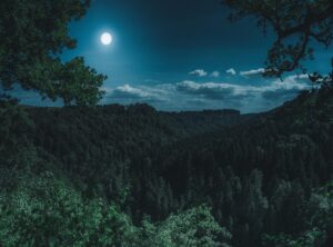 romantic couple pics at night gif
