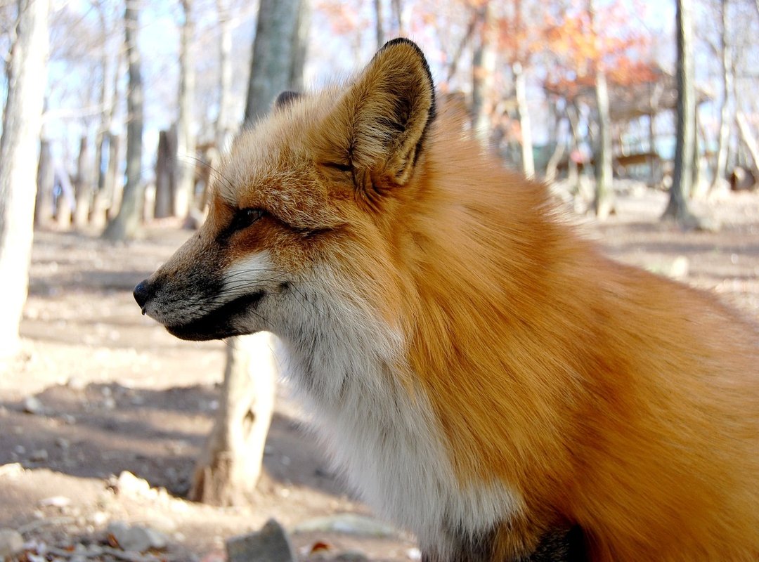 How to Find the Perfect GIF for Any Romantic Situation