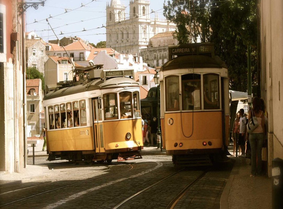 What to Do (and Not Do) If You Find Snake Eggs